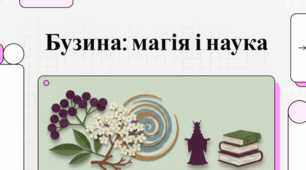 Бузина: міфологія, медицина та магія.