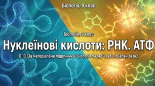 Презентація "§ 10. Нуклеїнові кислоти: РНК. АТФ" 9 клас НУШ
