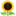 🌻