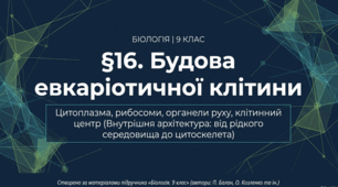 Презентація "§ 16. Будова евкаріотичної клітини: цитоплазма, рибосоми, органели руху, клітинний центр" 9 клас НУШ