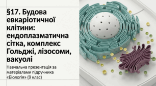 Презентація "§ 17. Будова евкаріотичної клітини: ендоплазматична сітка, комплекс Гольджі, лізосоми, вакуолі" 9 клас НУШ