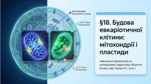 Презентація "§ 18. Будова евкаріотичної клітини: мітохондрії і пластиди" 9 клас НУШ