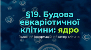 Презентація "§ 19. Будова евкаріотичної клітини: ядро" 9 клас НУШ